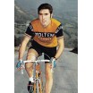 Figurine 1972 E. Merckx